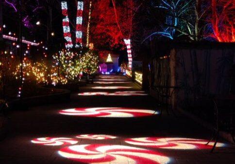 Elmwood zoo lights
